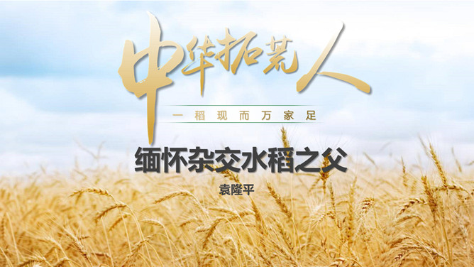 缅怀杂交水稻之父袁隆平PPT模板-大怪兽分享