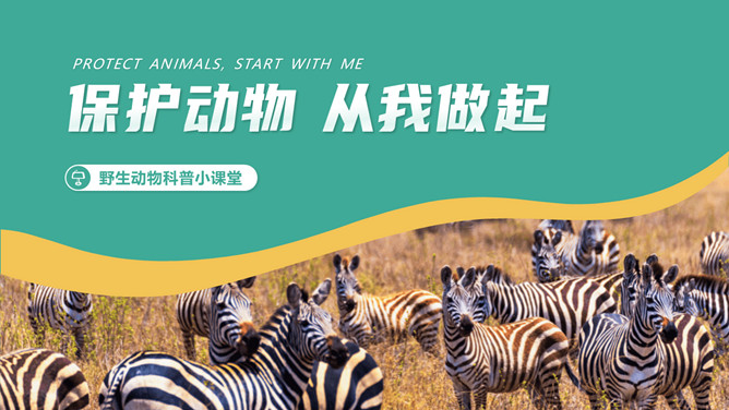 保护野生动物从我做起PPT模板-大怪兽分享