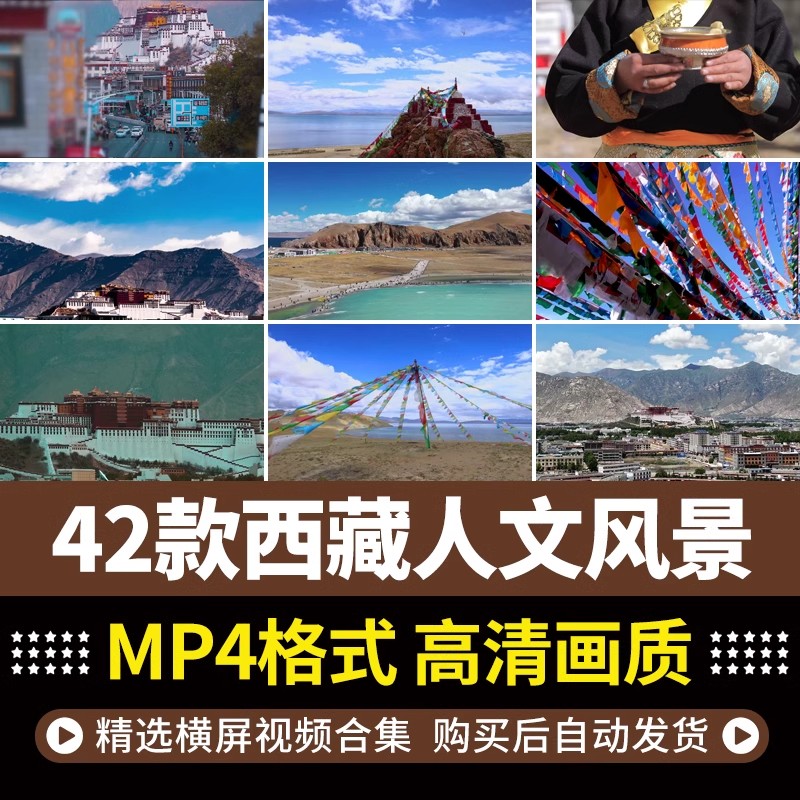 高清西藏布达拉宫青藏高原雪山人文自然风景航拍短片背景视频素材-大怪兽分享
