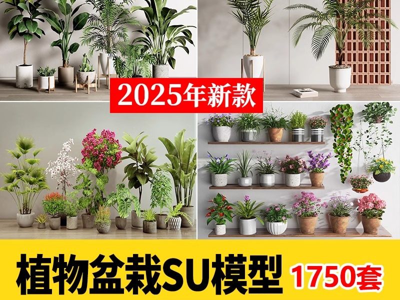 1750套，绿植植物花盆盆栽盆景松树单体草图大师SU模型室内花卉花草素材库-大怪兽分享
