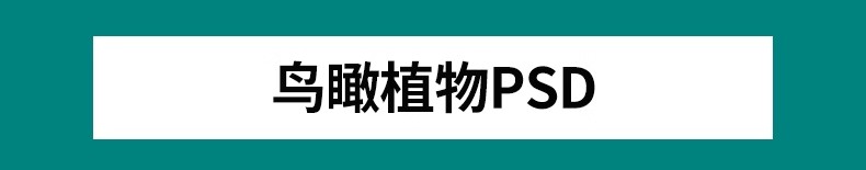 图片[3]-鸟瞰植物PSD分层素材合集景观园林建筑设计后期效果图树木ps花草-大怪兽分享