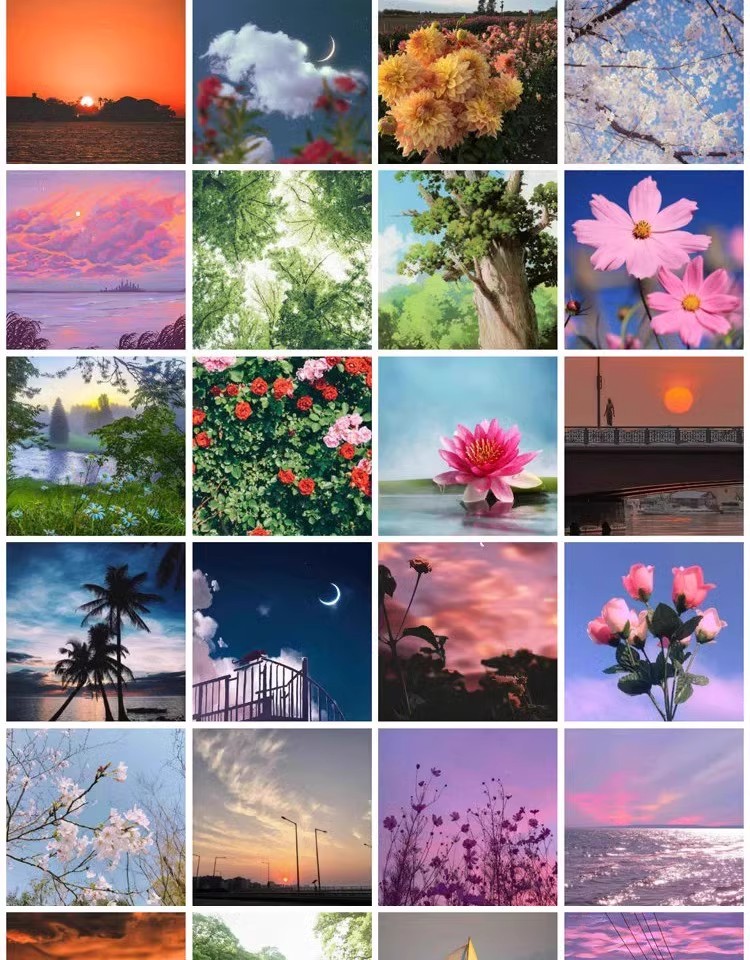 图片[2]-自然风景建筑鲜花晚霞静物微信QQ抖音头像ps设计精选JPG图片素材-大怪兽分享