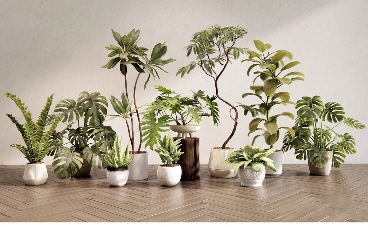 图片[4]-1750套，绿植植物花盆盆栽盆景松树单体草图大师SU模型室内花卉花草素材库-大怪兽分享