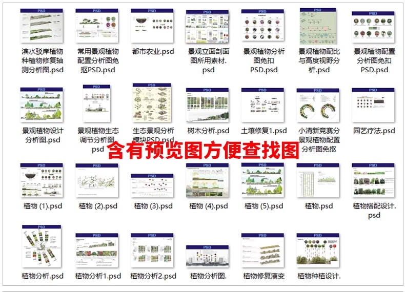 图片[3]-景观园林园艺植物配置PSD分层 绿植树木PS分析图种植搭配素材-大怪兽分享