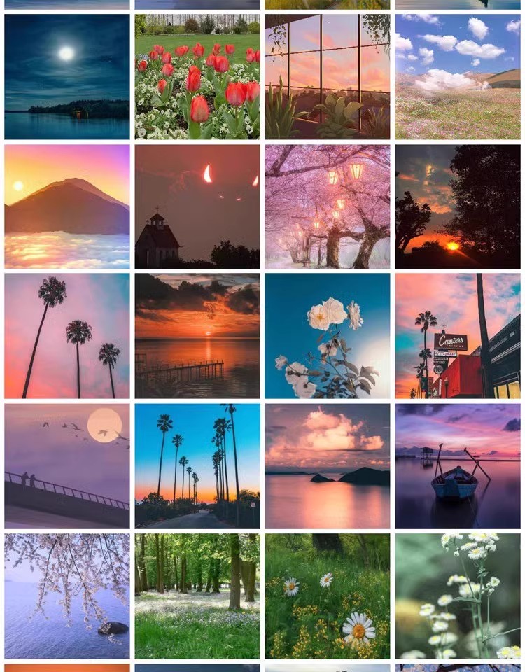 图片[3]-自然风景建筑鲜花晚霞静物微信QQ抖音头像ps设计精选JPG图片素材-大怪兽分享