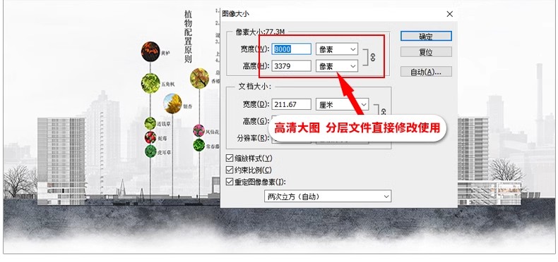 图片[4]-景观园林园艺植物配置PSD分层 绿植树木PS分析图种植搭配素材-大怪兽分享