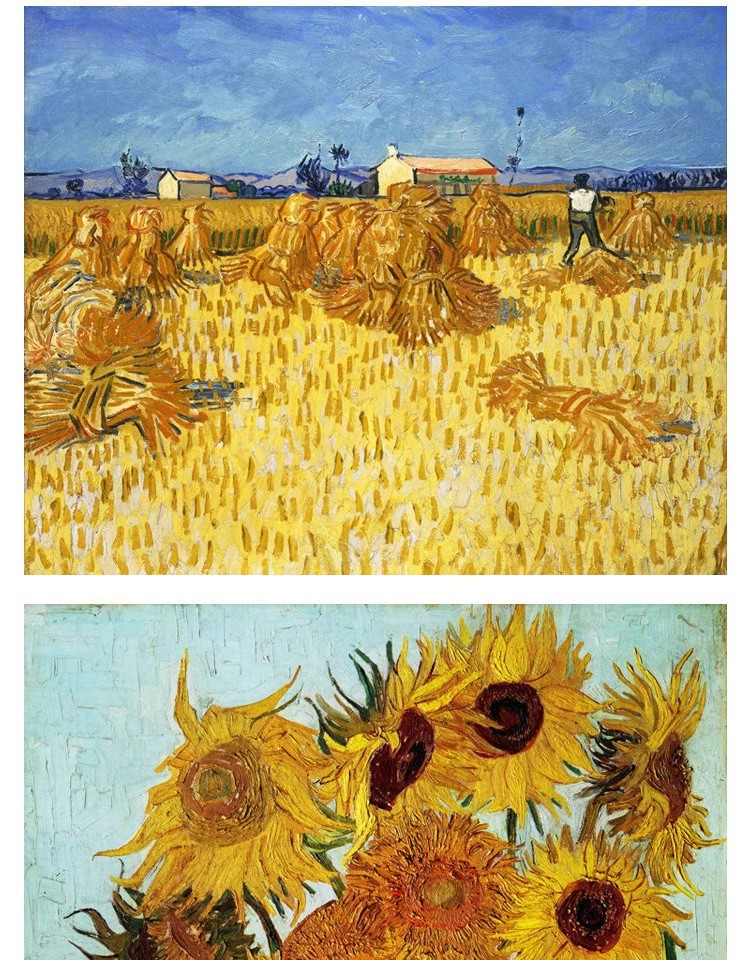 图片[3]-梵高油画高清电子图片印象派人物风景写生临摹喷绘打印装饰画素材-大怪兽分享