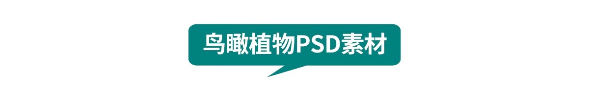 图片[4]-鸟瞰植物PSD分层素材合集景观园林建筑设计后期效果图树木ps花草-大怪兽分享