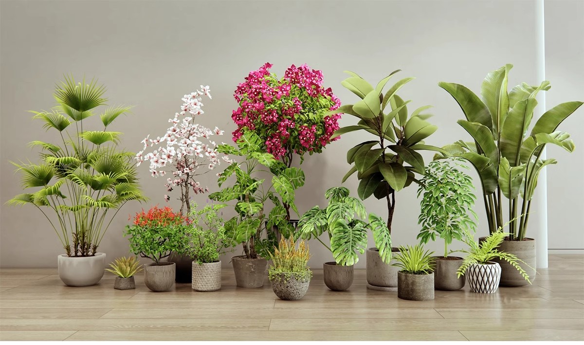 图片[6]-1750套，绿植植物花盆盆栽盆景松树单体草图大师SU模型室内花卉花草素材库-大怪兽分享