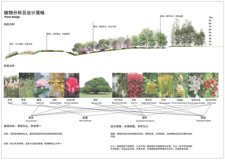 图片[5]-景观园林园艺植物配置PSD分层 绿植树木PS分析图种植搭配素材-大怪兽分享