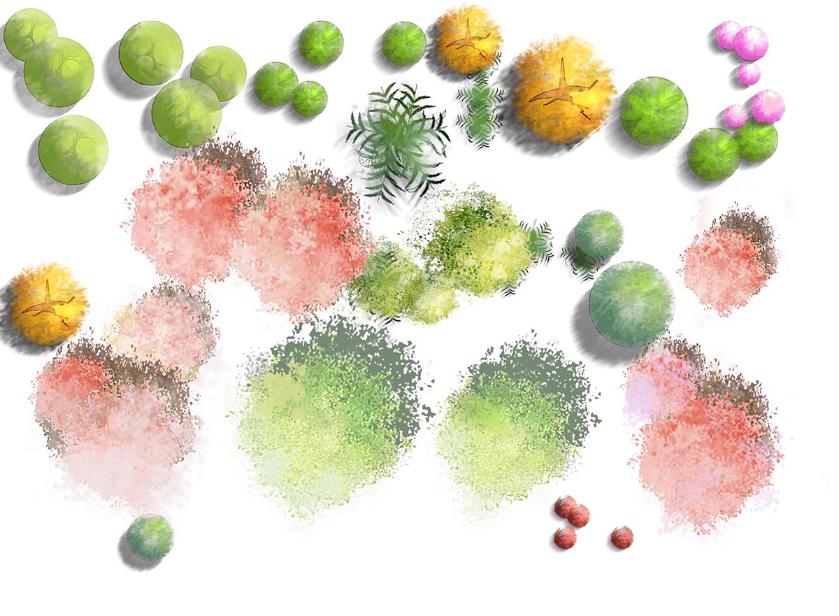 图片[6]-园林景观PS彩色总平面图案笔刷立面填充植物铺装psd分层设计素材-大怪兽分享