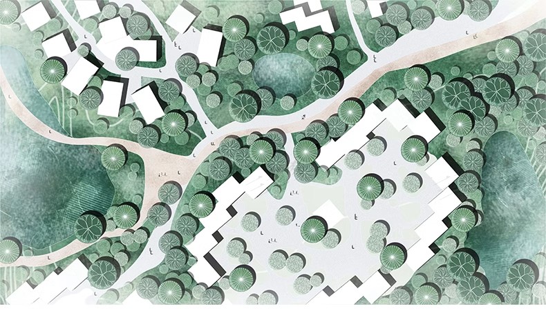 图片[6]-6000+，小清新PS彩平图园林景观规划总平面拼贴植物草地铺装纹理后期素材-大怪兽分享