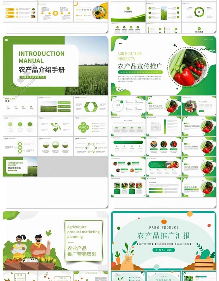 图片[4]-农业农产品PPT模板介绍营销宣传推广水果蔬菜生鲜有机食品绿色-大怪兽分享