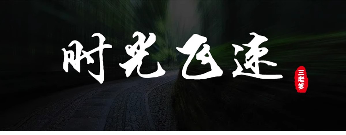 图片[7]-ps中英文字体包 毛笔cdr中文广告设计素材美工mac字体库大全下载-大怪兽分享