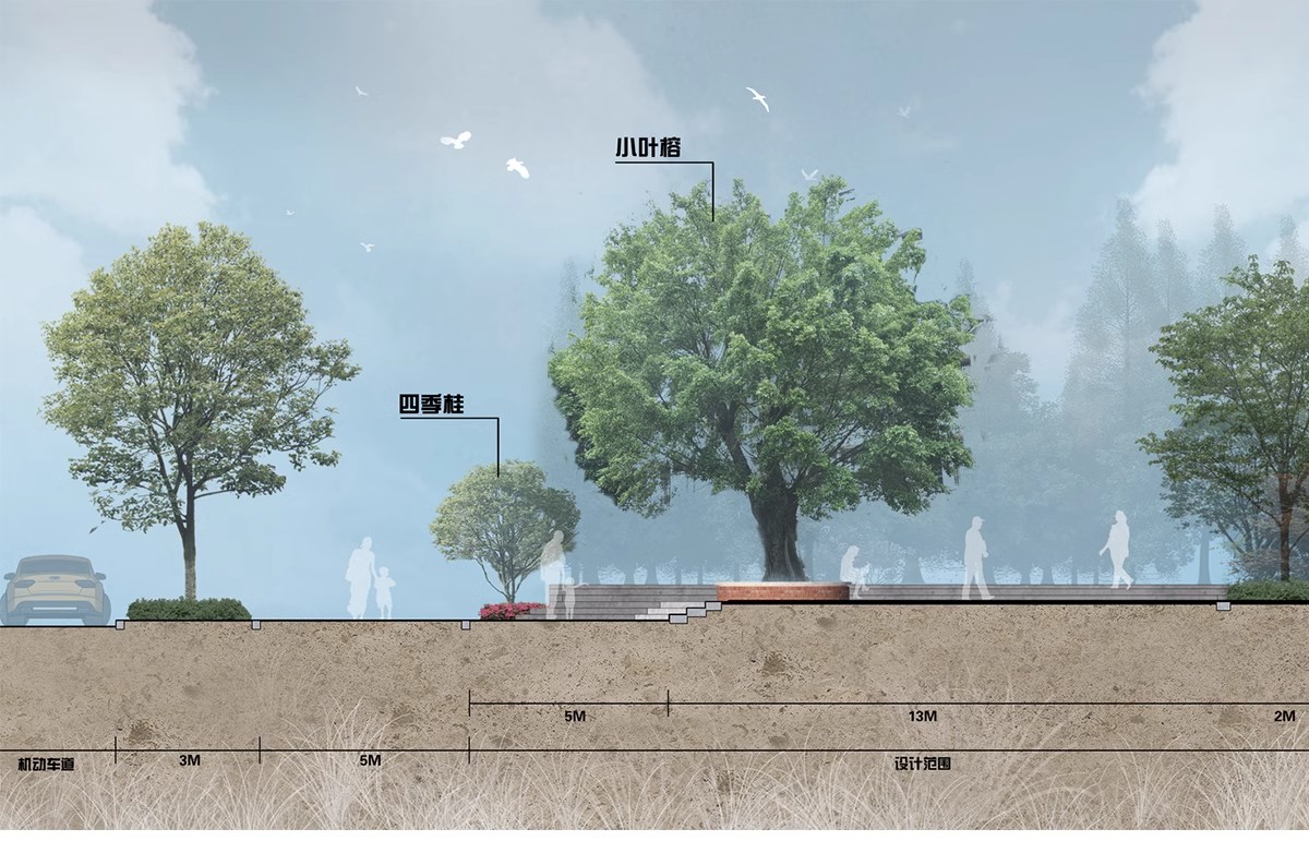 图片[7]-景观小清新树木psd植物PS平面立面剖面效果图海绵城市规划素材-大怪兽分享