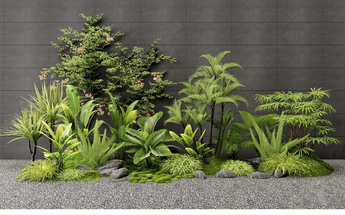 图片[8]-现代园林景观树SU模型植物组团乔木灌木地被花卉sketchup草图大师-大怪兽分享