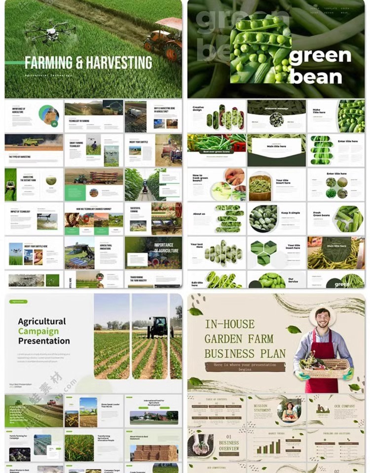 图片[6]-农业农产品PPT模板介绍营销宣传推广水果蔬菜生鲜有机食品绿色-大怪兽分享