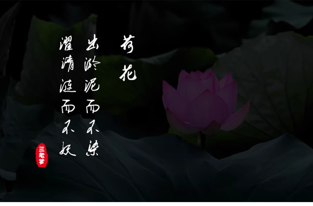 图片[9]-ps中英文字体包 毛笔cdr中文广告设计素材美工mac字体库大全下载-大怪兽分享
