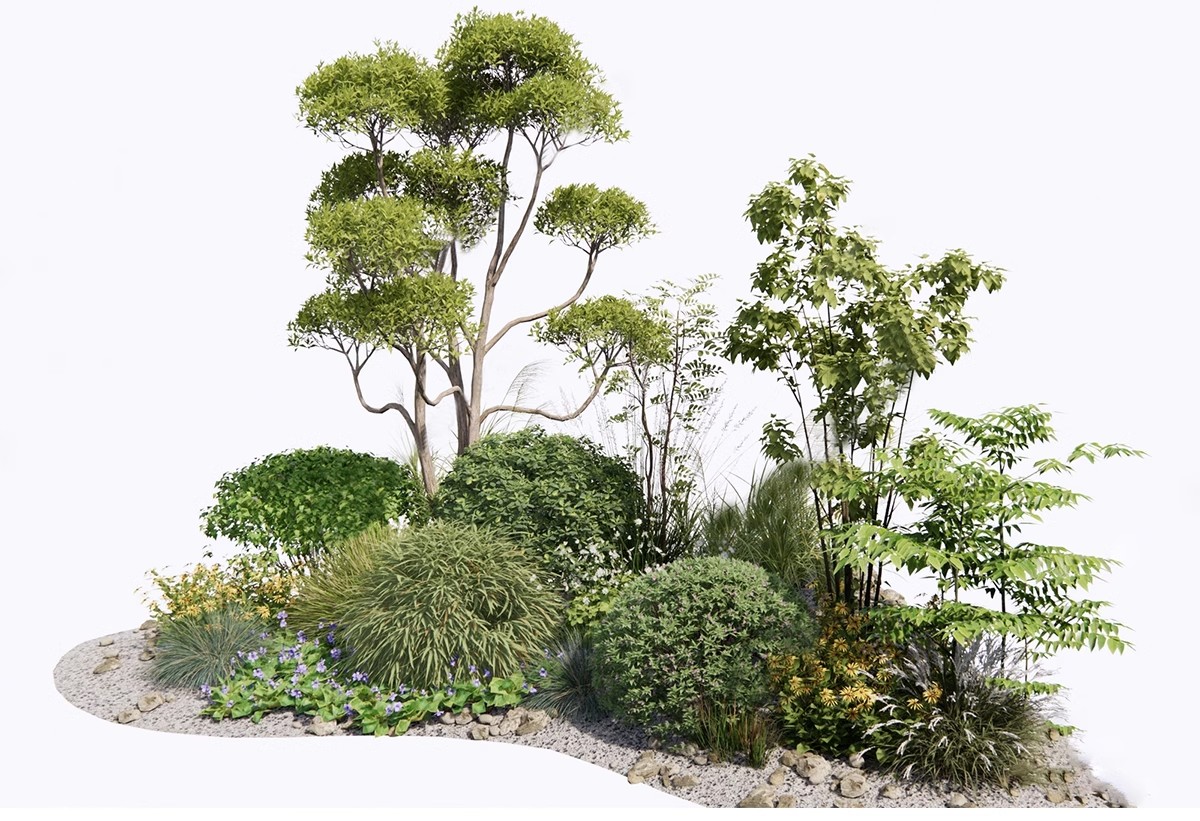 图片[9]-现代园林景观树SU模型植物组团乔木灌木地被花卉sketchup草图大师-大怪兽分享