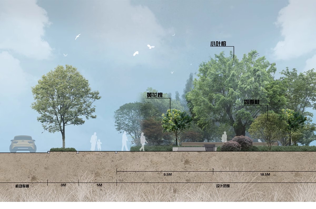 图片[9]-景观小清新树木psd植物PS平面立面剖面效果图海绵城市规划素材-大怪兽分享