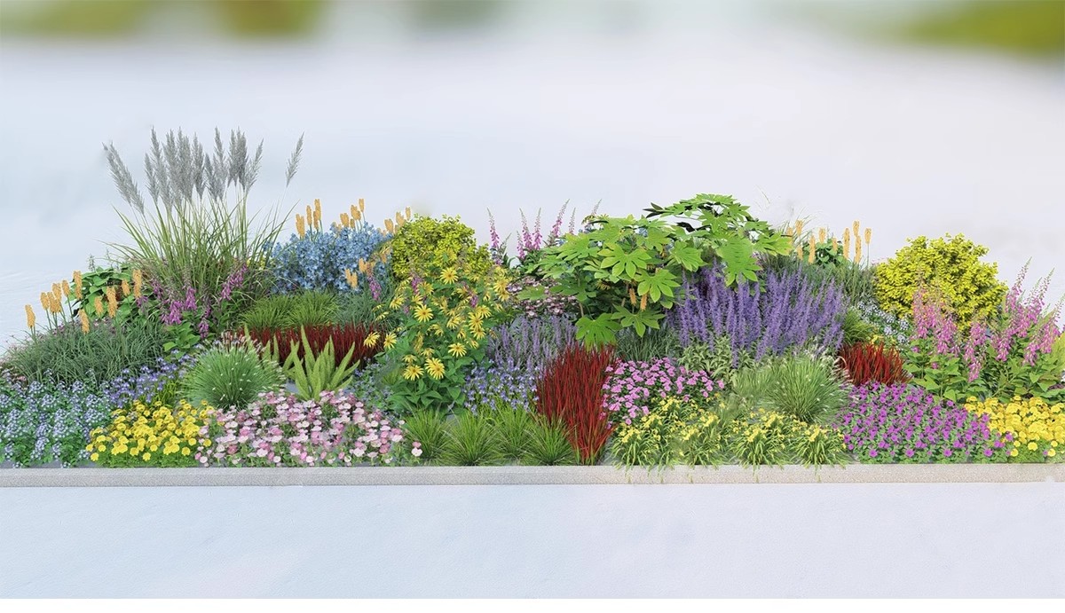 图片[9]-园林景观花镜花境植物配置地被花丛花草花卉草花组团搭配su模型库-大怪兽分享