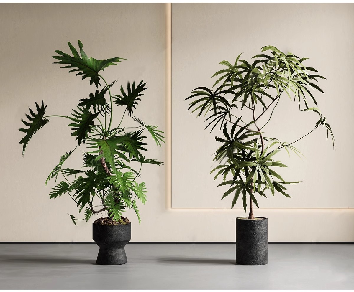 图片[10]-1750套，绿植植物花盆盆栽盆景松树单体草图大师SU模型室内花卉花草素材库-大怪兽分享