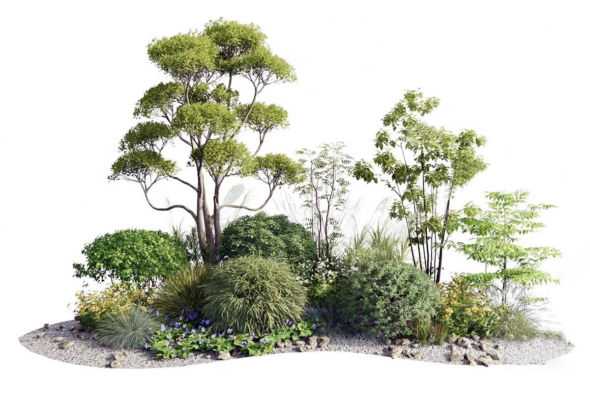图片[10]-现代园林景观树SU模型植物组团乔木灌木地被花卉sketchup草图大师-大怪兽分享