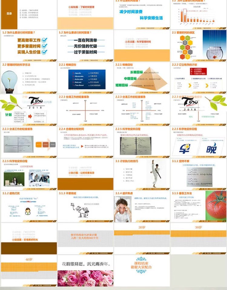 图片[8]-企业团队建设与管理培训PPT模板 时间管理文化员工入职培训动态-大怪兽分享
