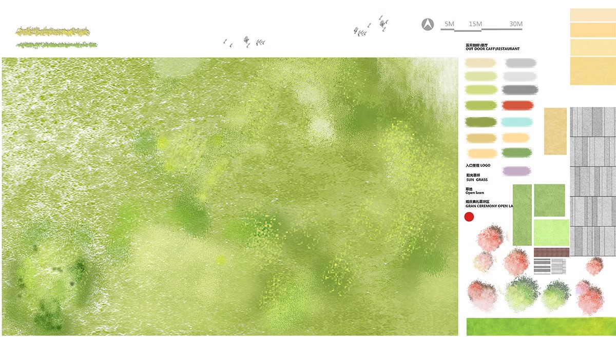 图片[11]-园林景观PS彩色总平面图案笔刷立面填充植物铺装psd分层设计素材-大怪兽分享