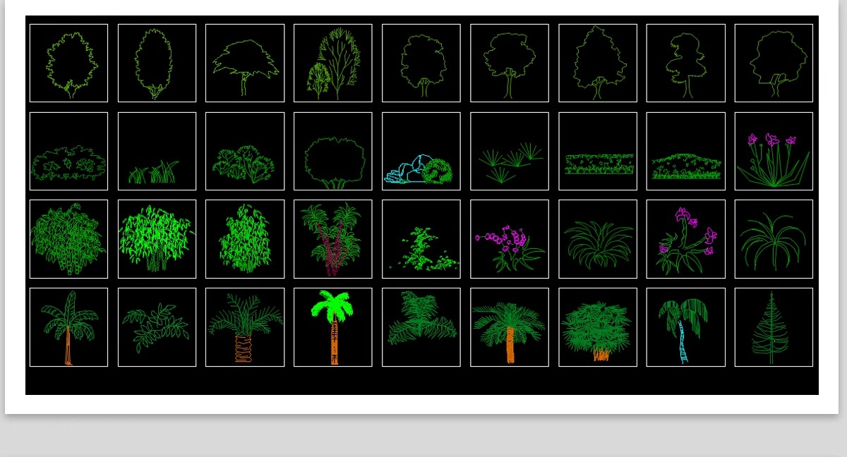 图片[12]-园林景观设计CAD植物图块人物平面立面铺装拼花施工图库图例素材-大怪兽分享