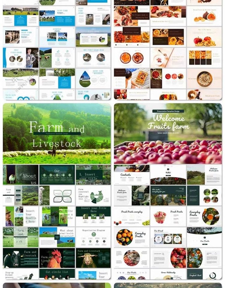 图片[10]-农业农产品PPT模板介绍营销宣传推广水果蔬菜生鲜有机食品绿色-大怪兽分享