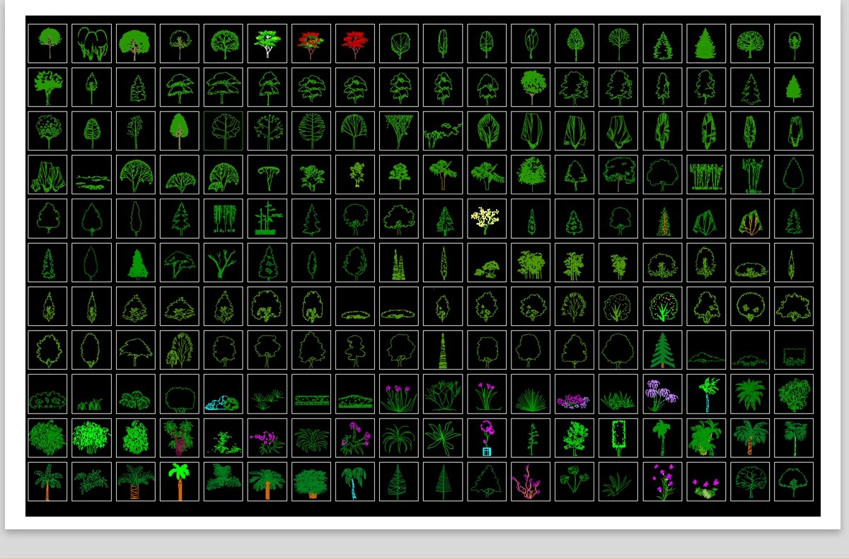 图片[13]-园林景观设计CAD植物图块人物平面立面铺装拼花施工图库图例素材-大怪兽分享