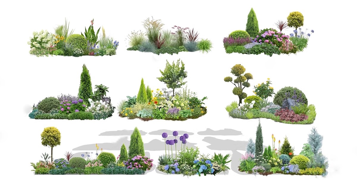图片[13]-现代园林景观树SU模型植物组团乔木灌木地被花卉sketchup草图大师-大怪兽分享