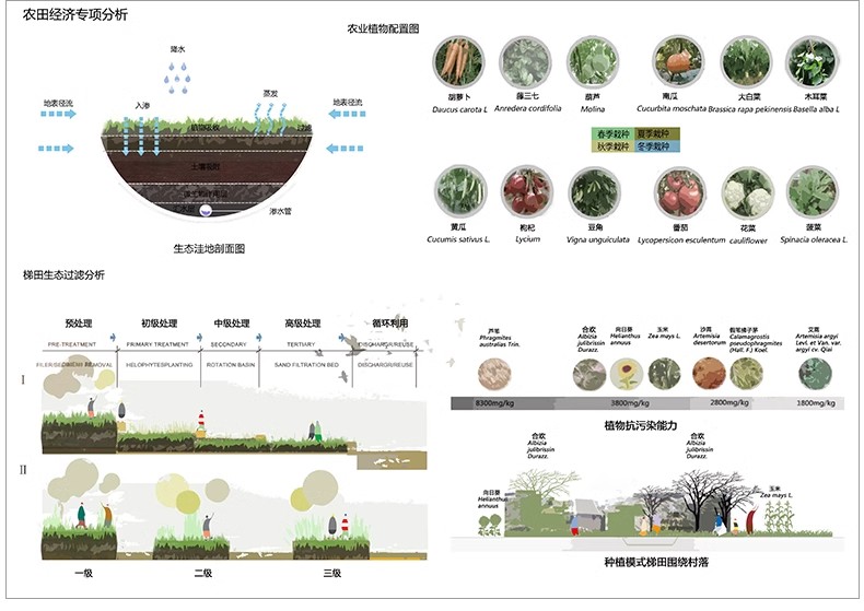 图片[11]-景观园林园艺植物配置PSD分层 绿植树木PS分析图种植搭配素材-大怪兽分享