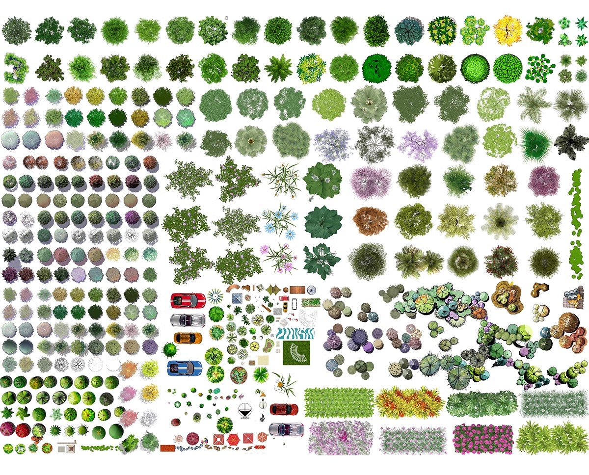 图片[12]-6000+，小清新PS彩平图园林景观规划总平面拼贴植物草地铺装纹理后期素材-大怪兽分享