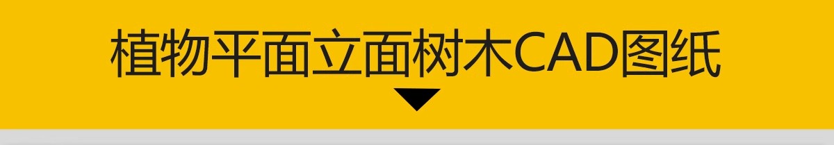 图片[14]-园林景观设计CAD植物图块人物平面立面铺装拼花施工图库图例素材-大怪兽分享