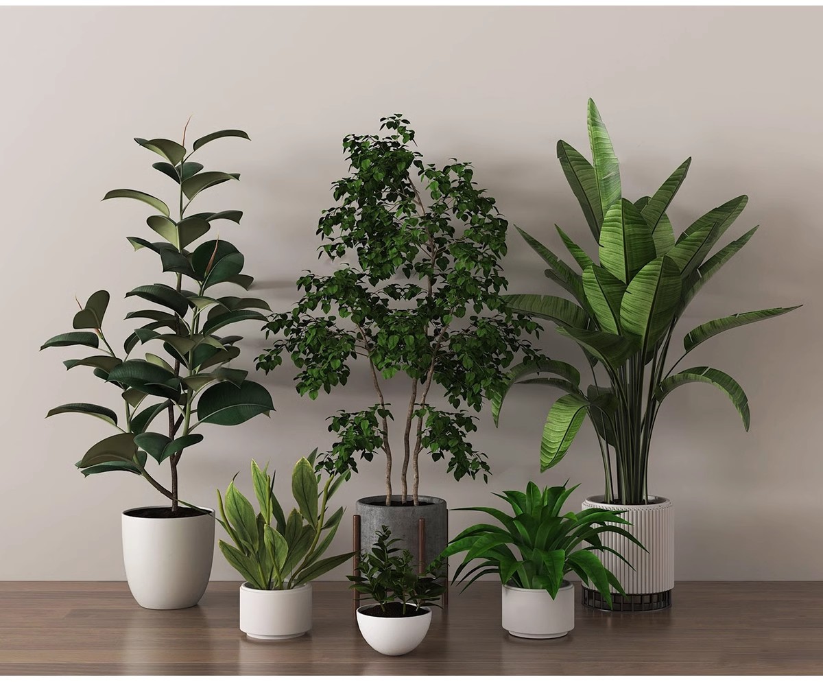 图片[14]-1750套，绿植植物花盆盆栽盆景松树单体草图大师SU模型室内花卉花草素材库-大怪兽分享