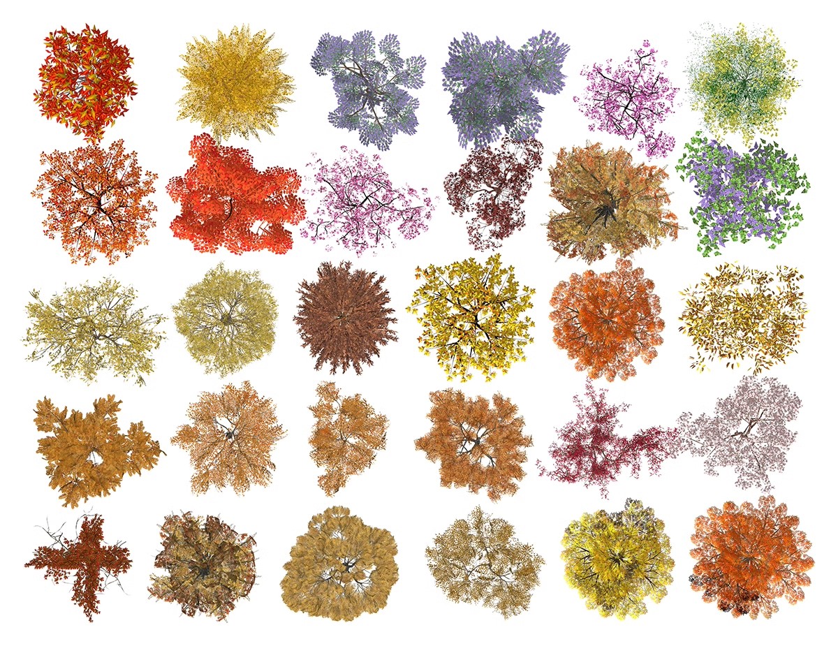 图片[13]-6000+，小清新PS彩平图园林景观规划总平面拼贴植物草地铺装纹理后期素材-大怪兽分享