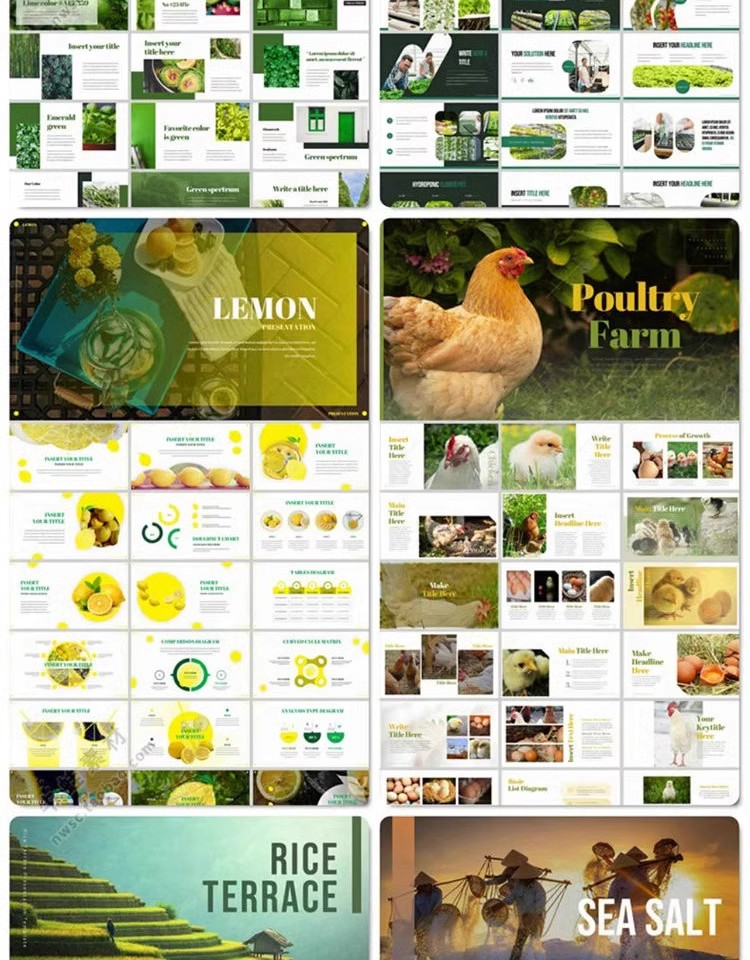 图片[12]-农业农产品PPT模板介绍营销宣传推广水果蔬菜生鲜有机食品绿色-大怪兽分享