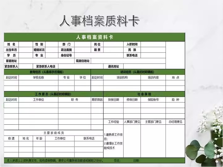 图片[12]-档案管理系统客户人事信息库员工花名册婚育状况登记表公司员汇总-大怪兽分享