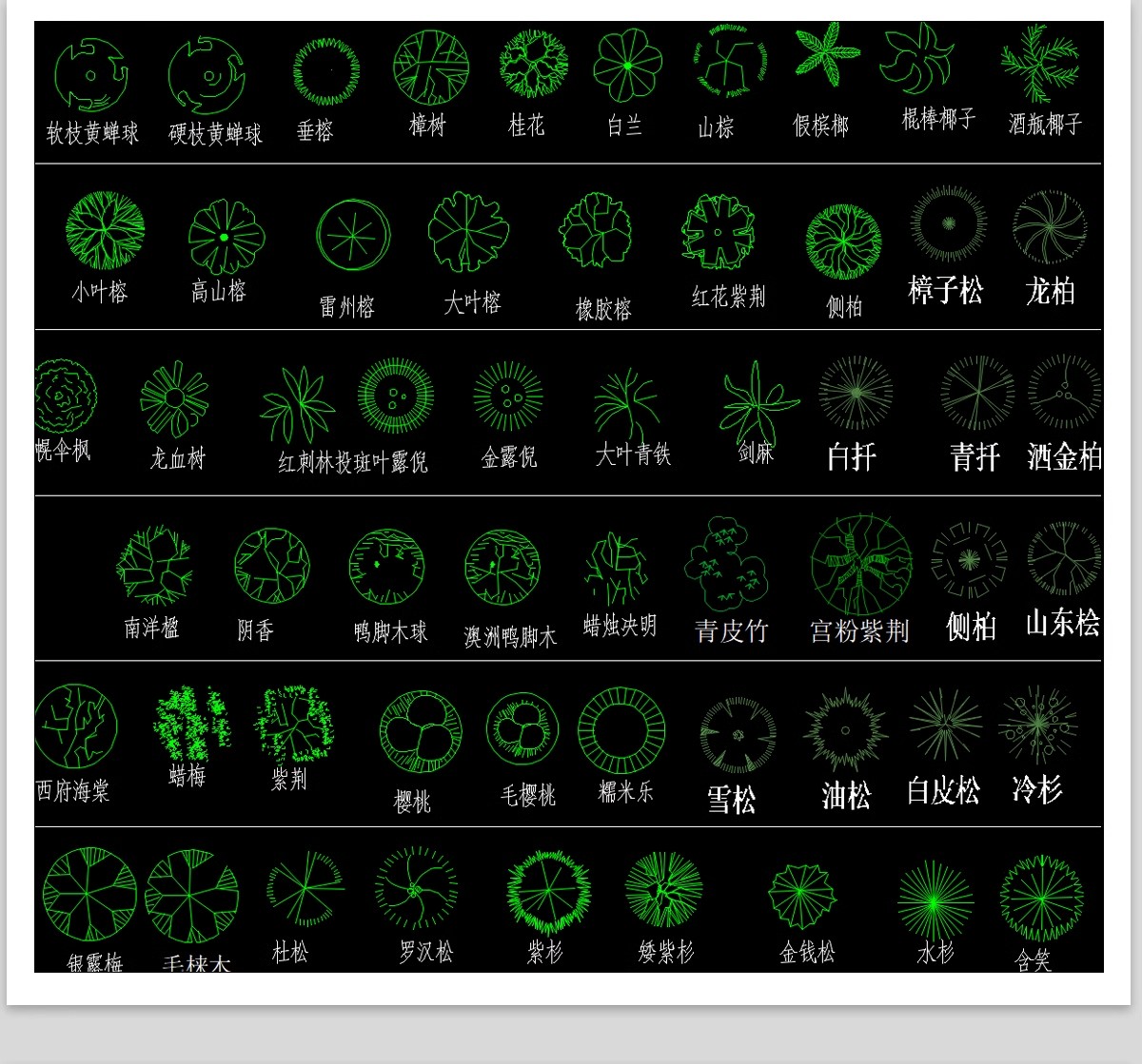 图片[16]-园林景观设计CAD植物图块人物平面立面铺装拼花施工图库图例素材-大怪兽分享