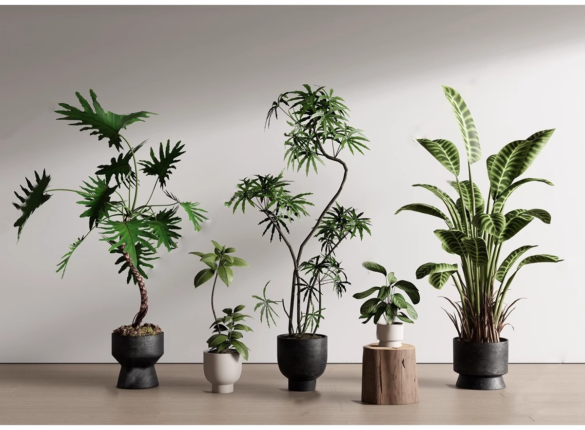 图片[16]-1750套，绿植植物花盆盆栽盆景松树单体草图大师SU模型室内花卉花草素材库-大怪兽分享