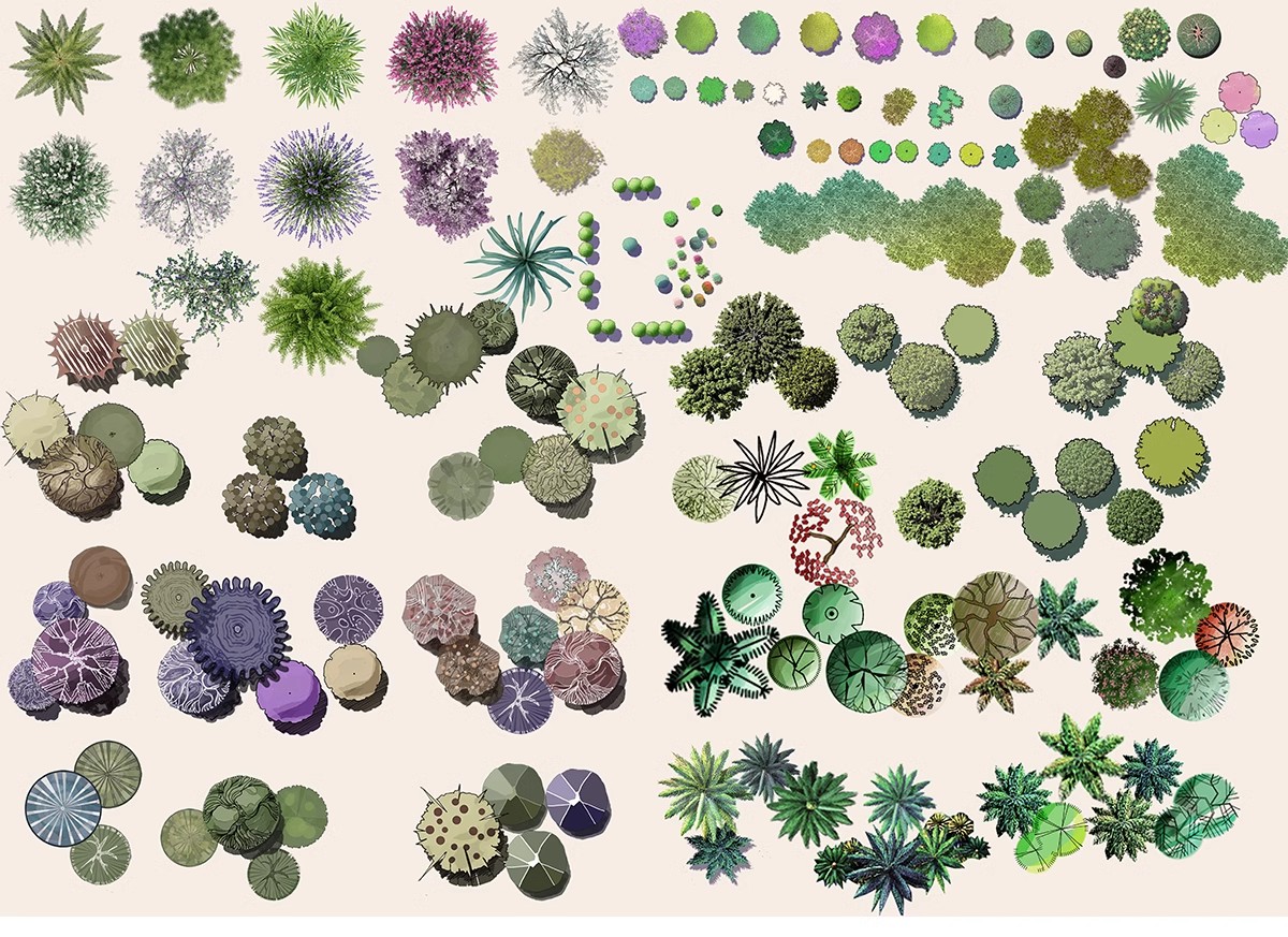 图片[16]-园林景观PS彩色总平面图案笔刷立面填充植物铺装psd分层设计素材-大怪兽分享