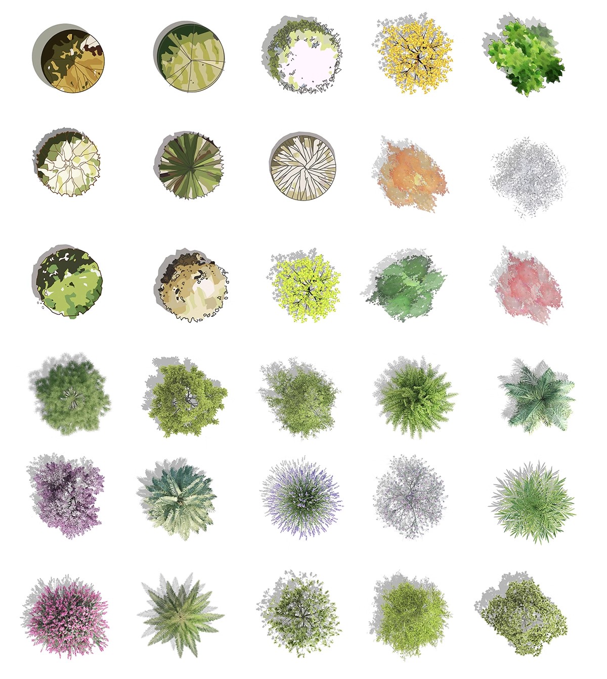 图片[15]-6000+，小清新PS彩平图园林景观规划总平面拼贴植物草地铺装纹理后期素材-大怪兽分享