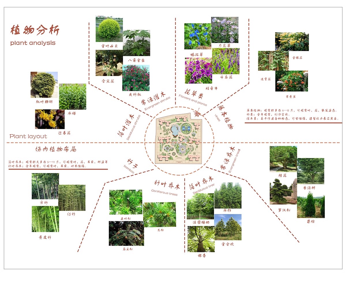 图片[15]-景观园林园艺植物配置PSD分层 绿植树木PS分析图种植搭配素材-大怪兽分享