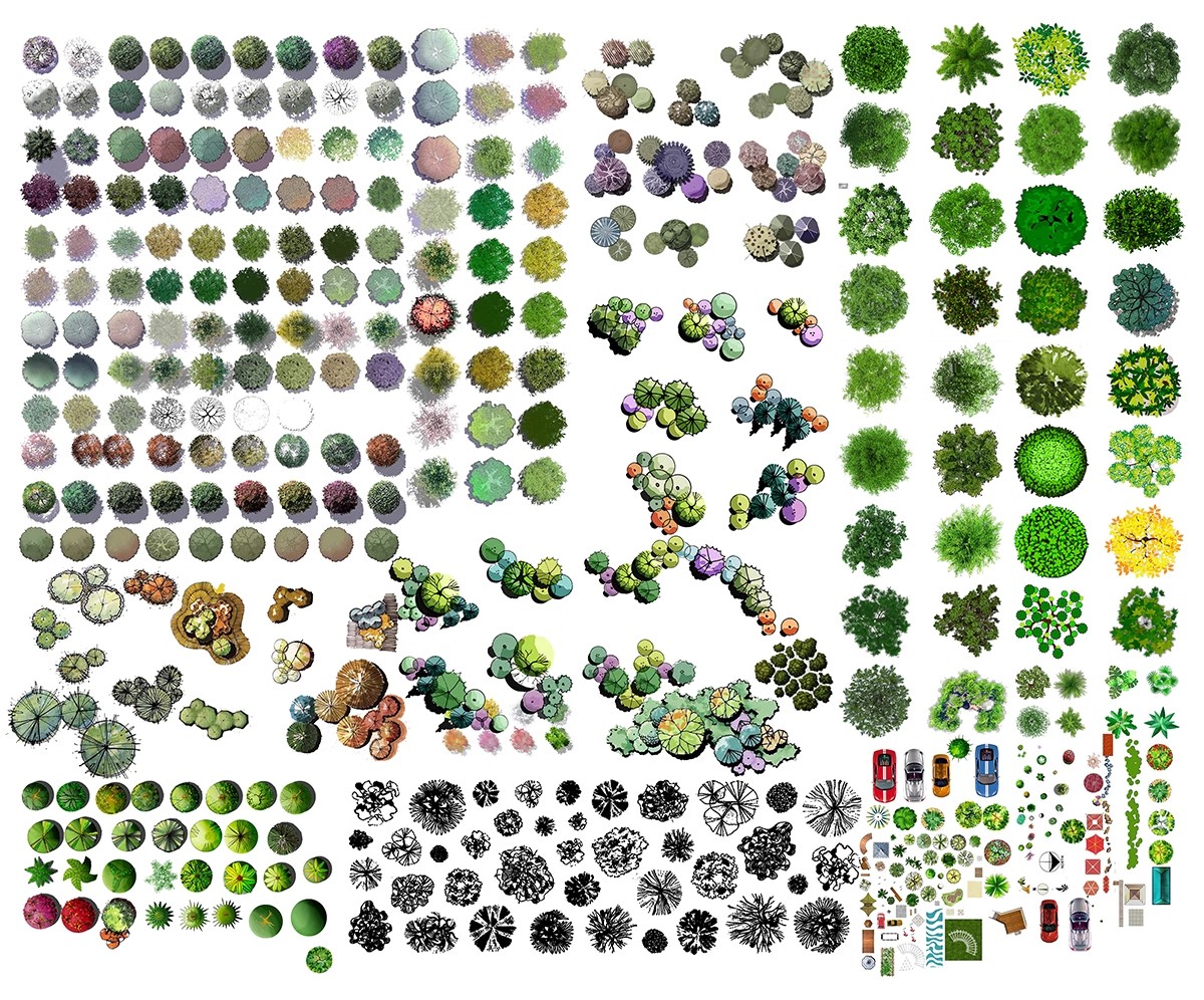 图片[16]-6000+，小清新PS彩平图园林景观规划总平面拼贴植物草地铺装纹理后期素材-大怪兽分享