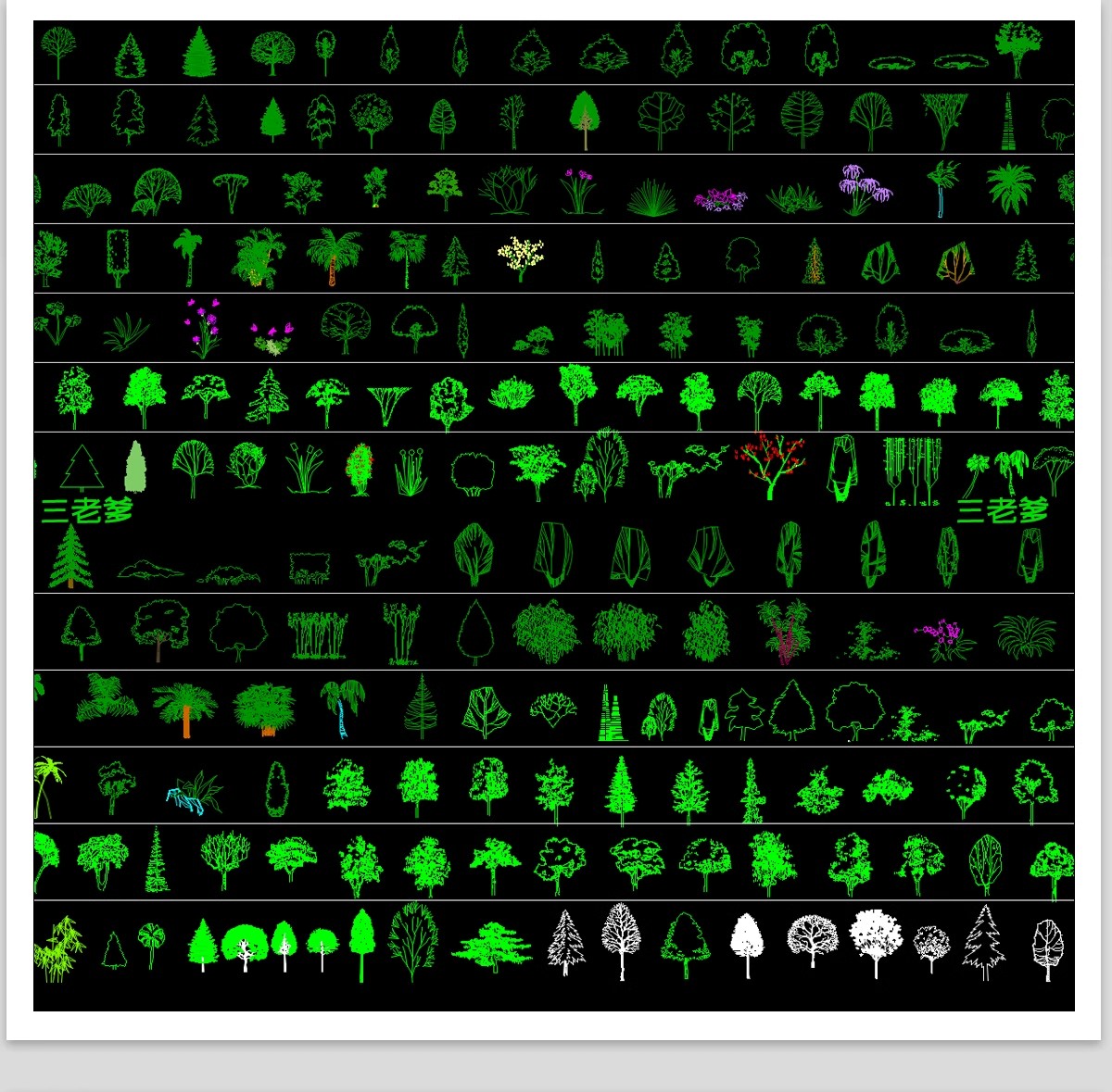 图片[18]-园林景观设计CAD植物图块人物平面立面铺装拼花施工图库图例素材-大怪兽分享