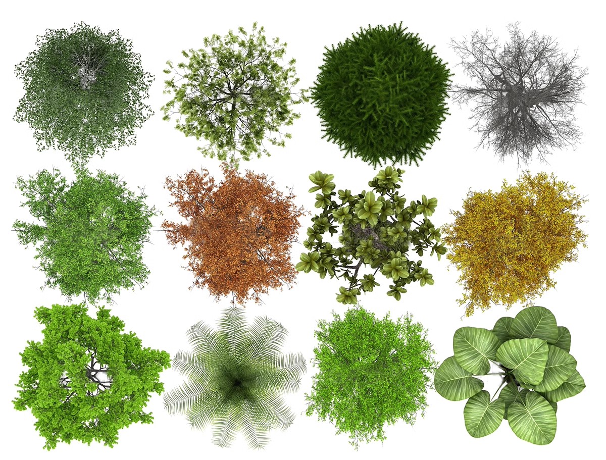 图片[17]-6000+，小清新PS彩平图园林景观规划总平面拼贴植物草地铺装纹理后期素材-大怪兽分享