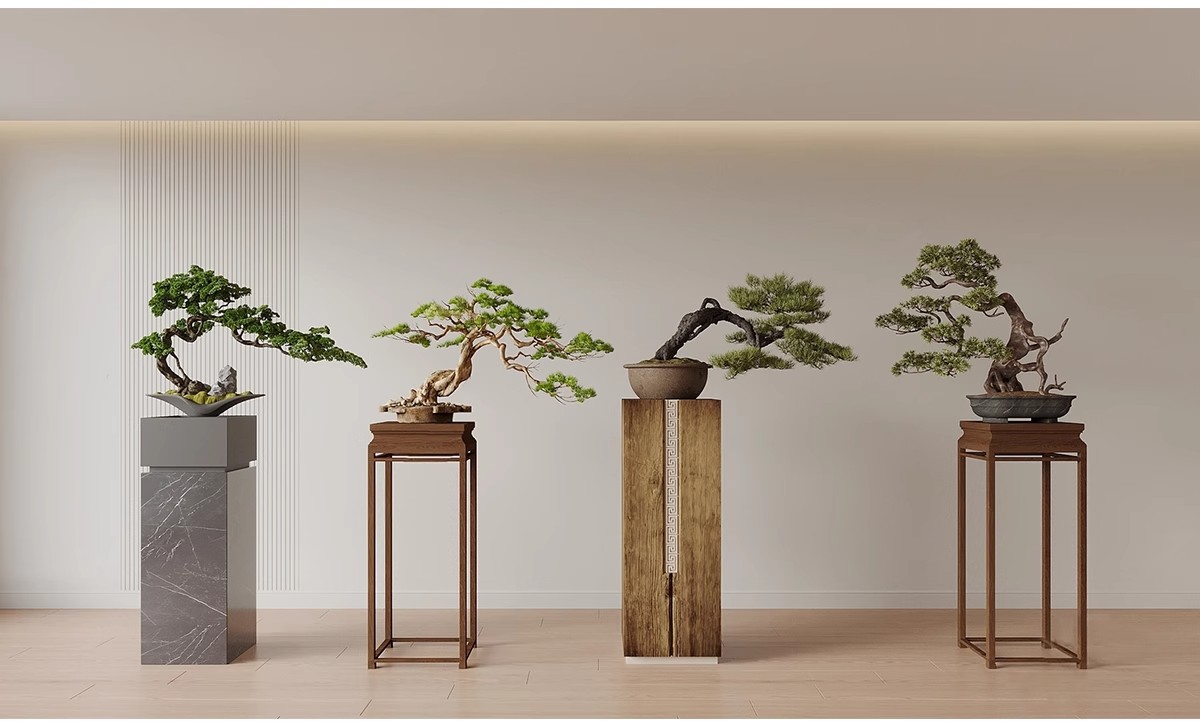 图片[19]-1750套，绿植植物花盆盆栽盆景松树单体草图大师SU模型室内花卉花草素材库-大怪兽分享