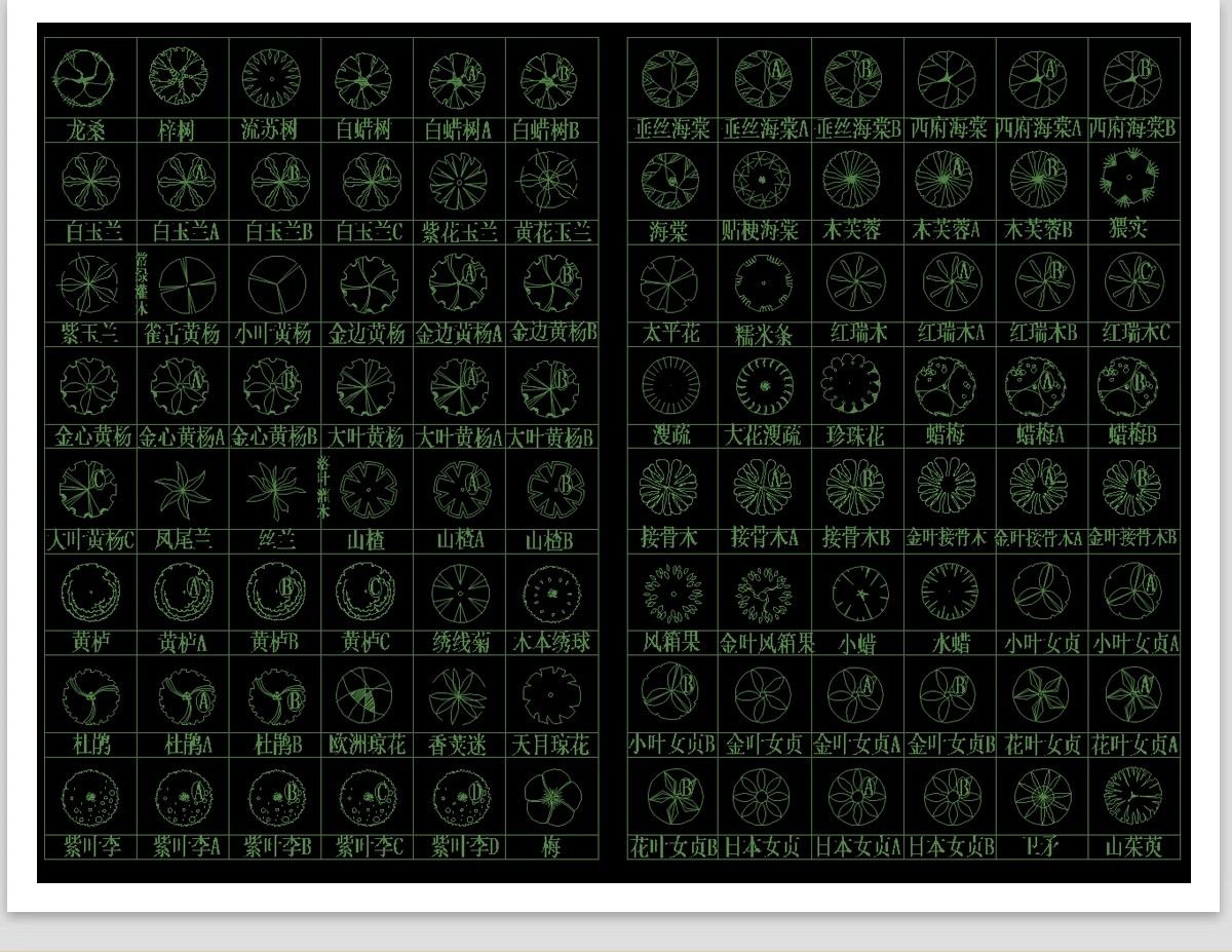 图片[20]-园林景观设计CAD植物图块人物平面立面铺装拼花施工图库图例素材-大怪兽分享